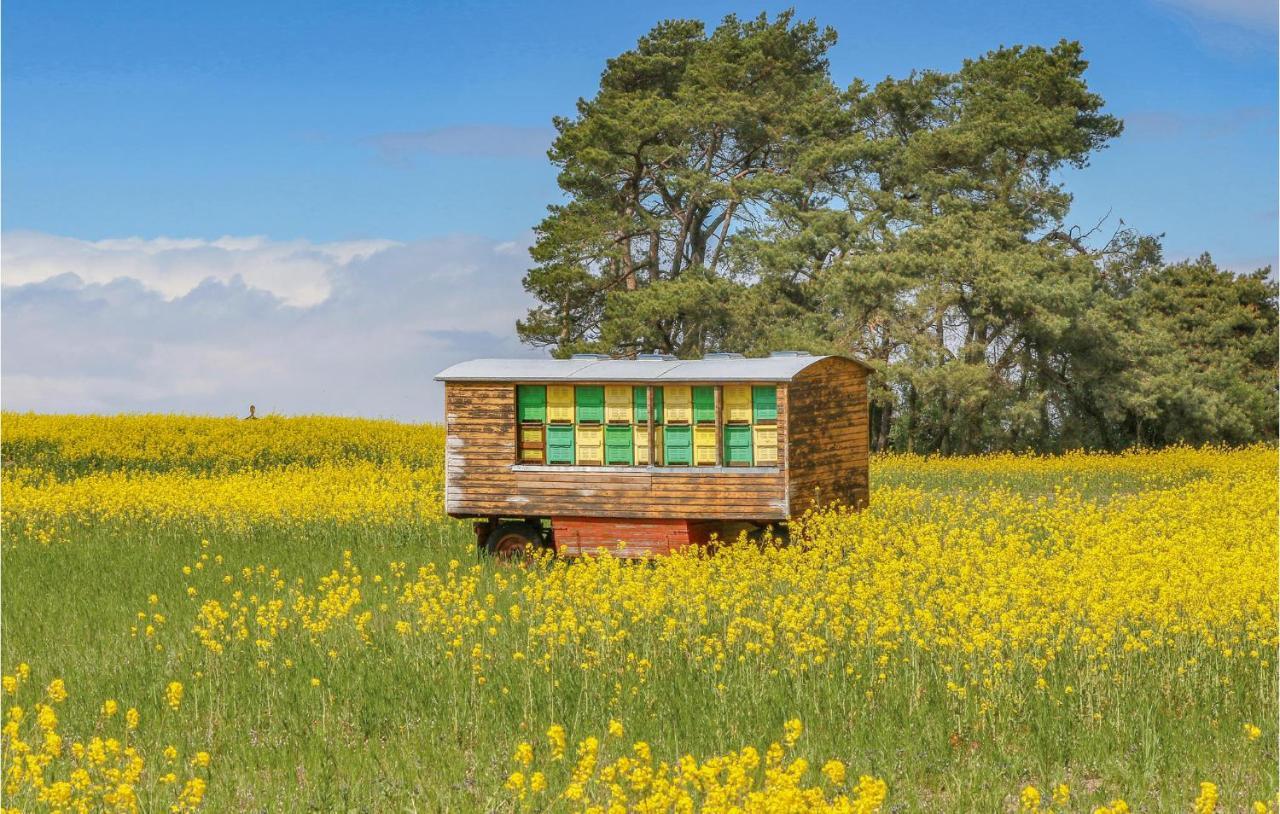 Kutzow Reetdachhaus 26 Auf Usedom 빌라 외부 사진